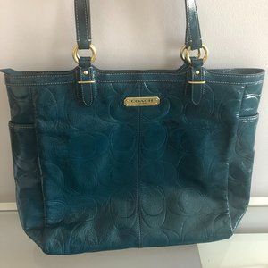 Beautiful High Shine Teal Bag